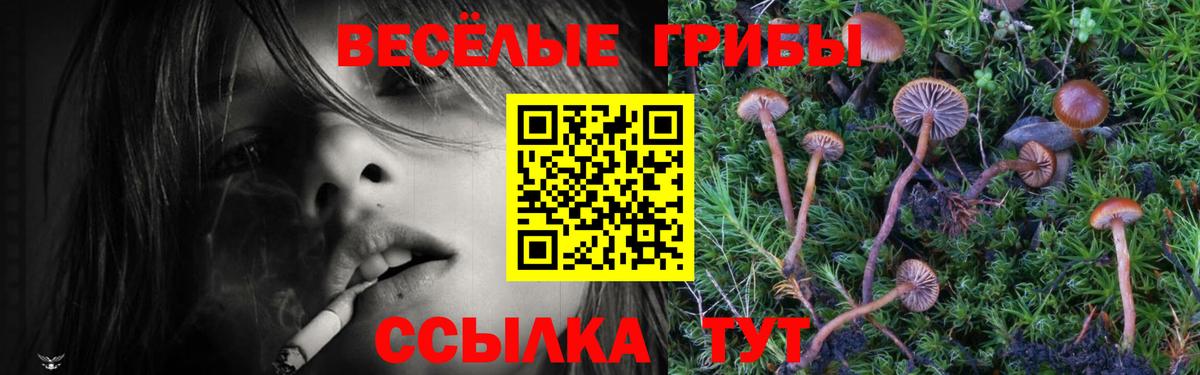 Галлюциногенные грибы GOLDEN TEACHER  Вход с VPN  Бугуруслан  Галлюциногенные грибы Psilocybe 